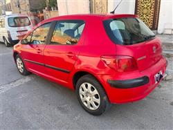 بيجو 307